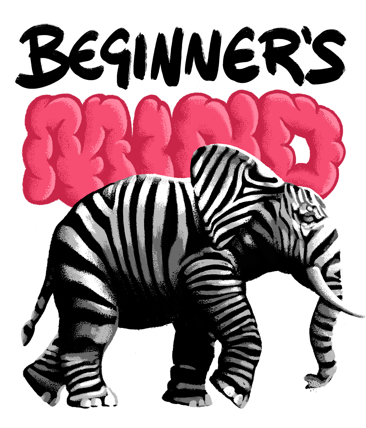 We are curious and creative